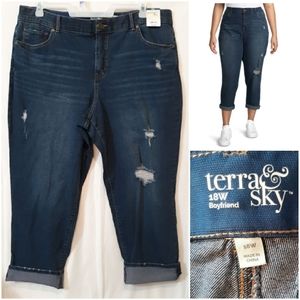 terra and sky skinny ankle jeans